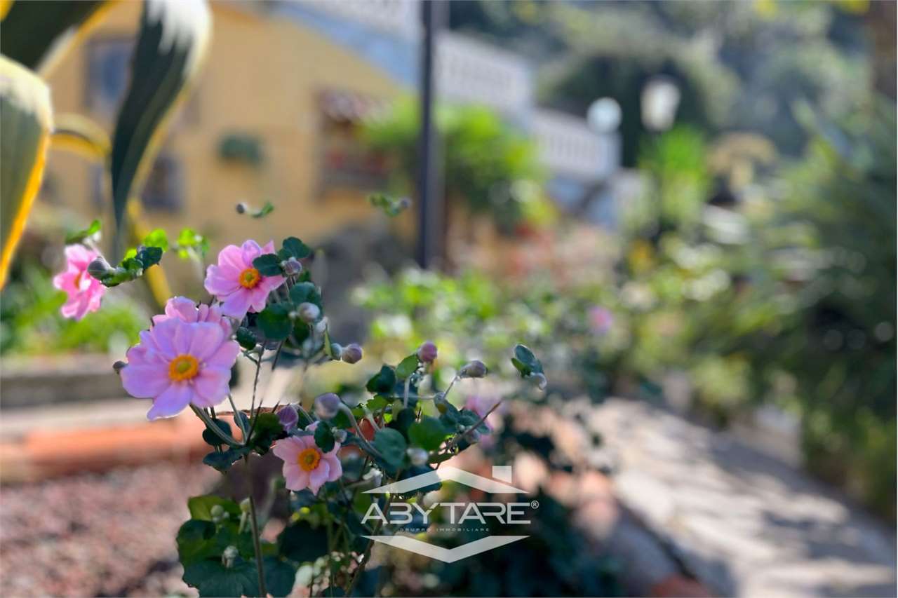 Appartamento con terrazzi giardino vendita Alassio