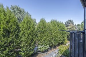 4 locali vendita Moncalieri Strada delle Margherite 8