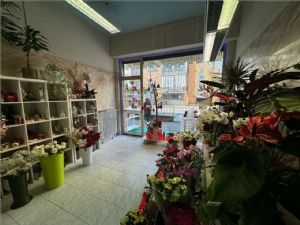 Locale Commerciale in Via Conte Verde, Asti – Otti