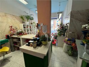 Locale Commerciale in Via Conte Verde, Asti – Otti