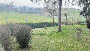 ISOLA D'ASTI-BILOCALE CON BOX