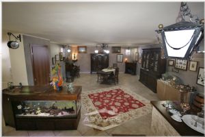 Villa con Giardino un' oasi di serenità a Settimo Torinese