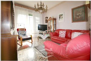 5 Locali vendesi Torino Via Plava 121