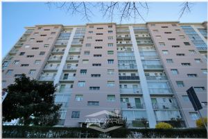 5 Locali vendesi Torino Via Plava 121