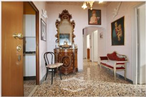 5 Locali vendesi Torino Via Plava 121