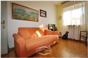 5 Locali vendesi Torino Via Plava 121