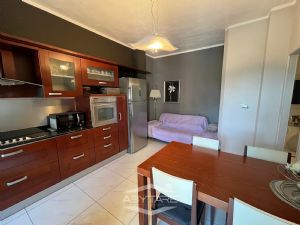 Trilocale ristrutturato piano alto Nichelino centro