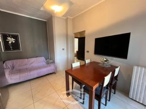 Trilocale ristrutturato piano alto Nichelino centro