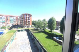 BEINASCO ZONA MADONNINA BILOCALE LIBERO SUBITO