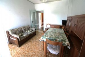 BEINASCO ZONA MADONNINA BILOCALE LIBERO SUBITO