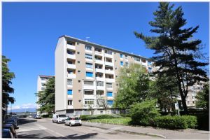 4 Locali vendesi Torino via Roveda 20