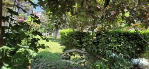 3 locali in locazione - fronte Politecnico