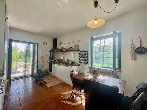 casa indipendente - libera subito!