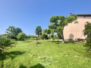 casa indipendente - libera subito!