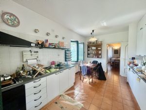 casa indipendente - libera subito!