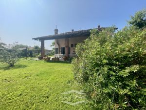 casa indipendente - libera subito!