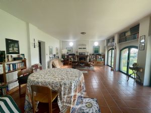casa indipendente - libera subito!
