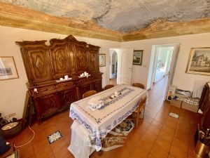casa indipendente - libera subito!
