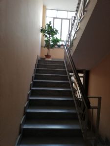Via Bibiana n° 83