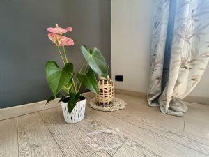 ampio appartamento con il terrazzo vendita Moncalieri Via Lagrange 8