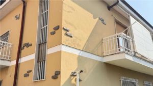 SAN FEDELE-VILLA BIFAMILIARE LIBERA SU 4 LATI