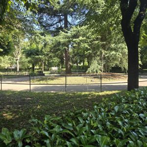 Via Reiss Romoli 81