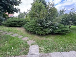 VILLA A SCHIERA CON GIARDINO DI 50 MQ. CAMINO E BOX AUTO