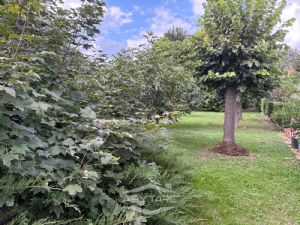 VILLA A SCHIERA CON GIARDINO DI 50 MQ. CAMINO E BOX AUTO