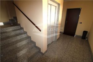 COLLEGNO IN VENDITA QUADRILOCALE CON BOX AUTO