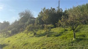 VALGERA-CASA SEMINDIPENDENTE CON TERRENO