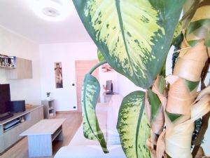 TRILOCALE RISTRUTTURATO CON SOFFITTA E CANTINA
