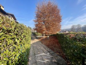 4 locali con giardino vendita Moncalieri Via Lancia 2
