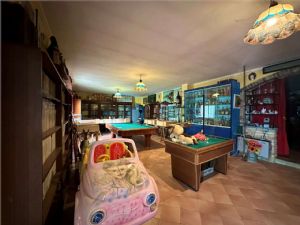Villa con Piscina  – Un’Occasione Unica nel Suo Genere