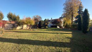 Casa indipendente con giardino e box auto in affitto