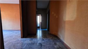 Appartamento luminoso con box doppio in zona Stadio