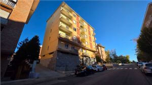 Appartamento luminoso con box doppio in zona Stadio