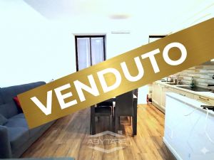 BILOCALE FINEMENTE RISTRUTTURATO E VOLENDO BOX AUTO DOPPIO