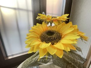 Quadrilocale con terrazzo e giardino vendita Moncalieri Via Cristoforo Colombo 6