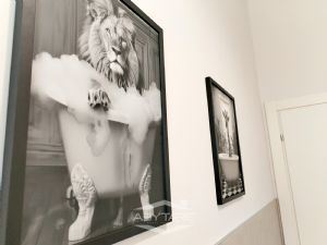 BILOCALE RISTRUTTURATO E ARREDATO A NUOVO !