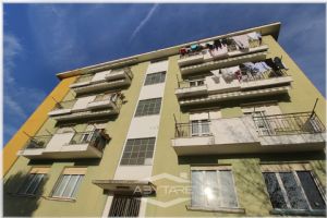 TROFARELLO 4 LOCALI: AMPI SPAZI E OTTIMO PREZZO