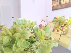 APPARTAMENTO RISTRUTTURATO CON DOPPI SERVIZI !