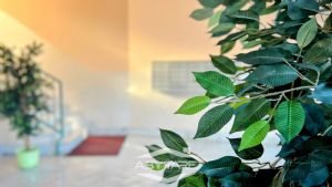 La tua casa Abytare..
Alcune immagini di questo an...