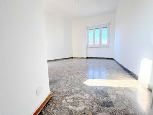 TRILOCALE LIBERO SUBITO