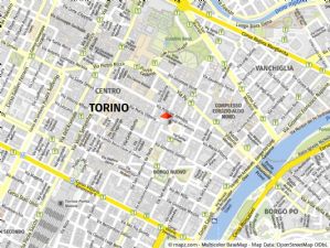 Piazza Carlina - Alloggio di ampia metratura libero subito!