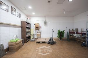 Soluzione indipendente/ bifamiliare  - Borgo San Pietro