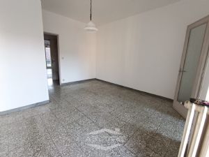 AMPIO BILOCALE LIBERO SUBITO