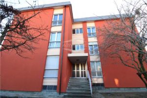 Beinasco in vendita trilocale libero subito