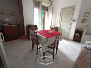 AMPIO BILOCALE ZONA LINGOTTO