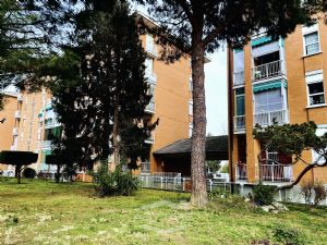 4 locali vendita Orbassano Via di Nanni 16
