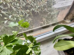 2 locali vendita Moncalieri Strada Torino 71